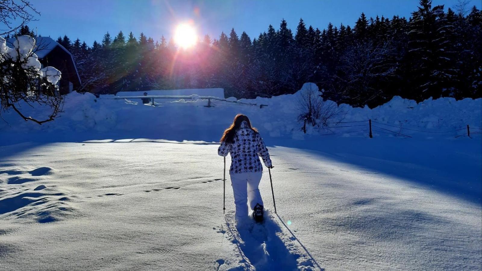 Kantor Village Am Millstaetter See - Boutique-Chalets Und Lodges Millstatt Buitenkant foto